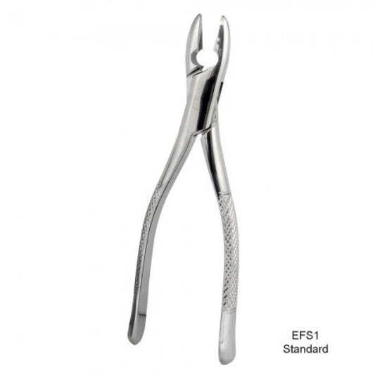 Root Tip Fig No.301