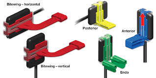 XCP-DS FIT Bite Block Refill